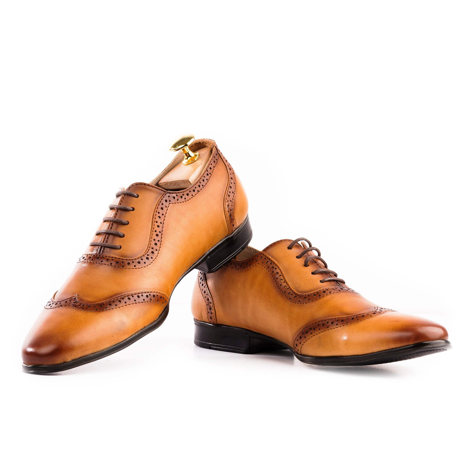 https://cdn.shopify.com/s/files/1/0575/3887/1502/files/2B_6edf66c8-f5c1-4257-bdde-f22d71929355.jpg?v=1766747451