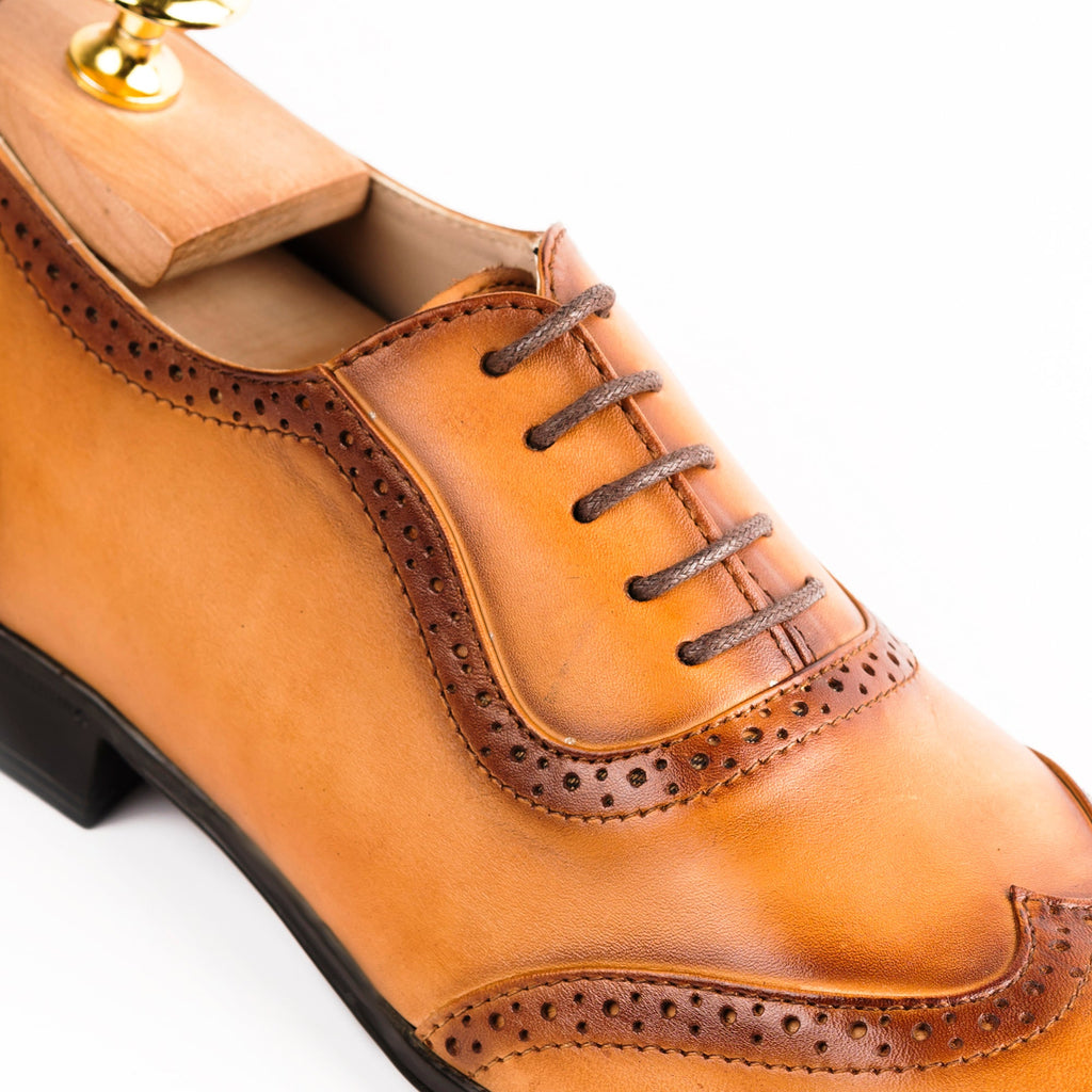 https://cdn.shopify.com/s/files/1/0575/3887/1502/files/2C_d3993756-b55c-4d76-9323-c2aa10f0279d.jpg?v=1766747451